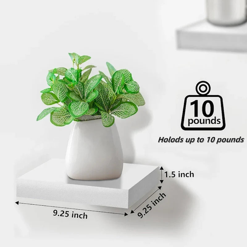 Wall-Mounted Floating Shelf 18