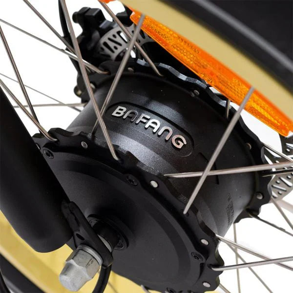 20 48V/14AH 750W Foldable Fat Tire Electric Trike, 330LBS 5
