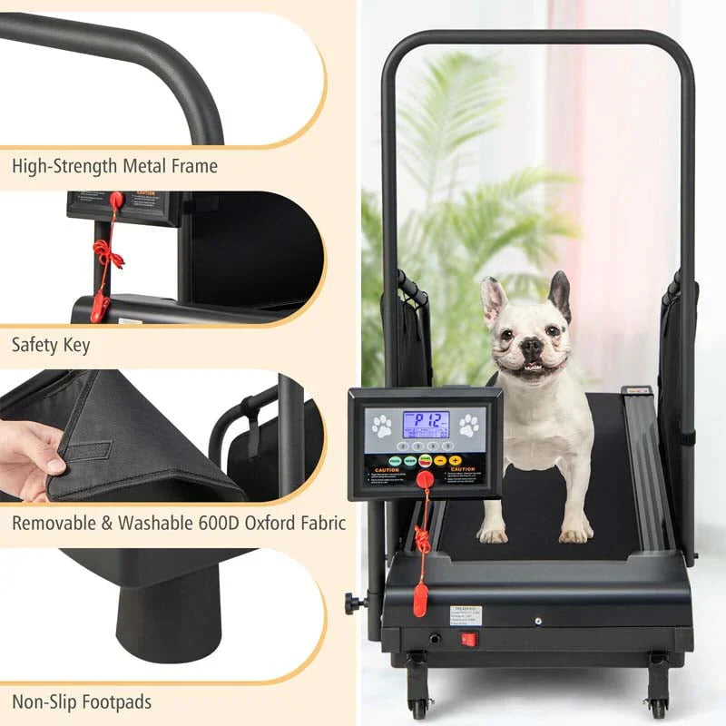 200 Lbs Dog Treadmill Pet Running Machine Indoor Pet Exercise Equipment With Remote Amp 14039039 Lcd Screen 6