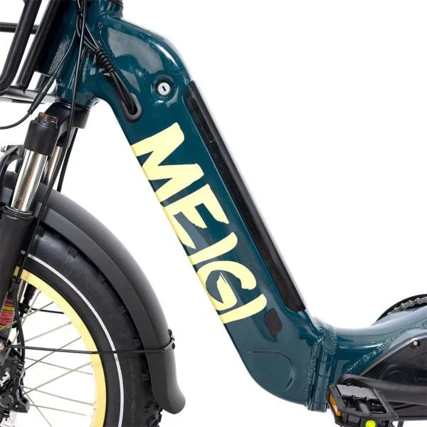 20 48V/14AH 750W Foldable Fat Tire Electric Trike, 330LBS 8