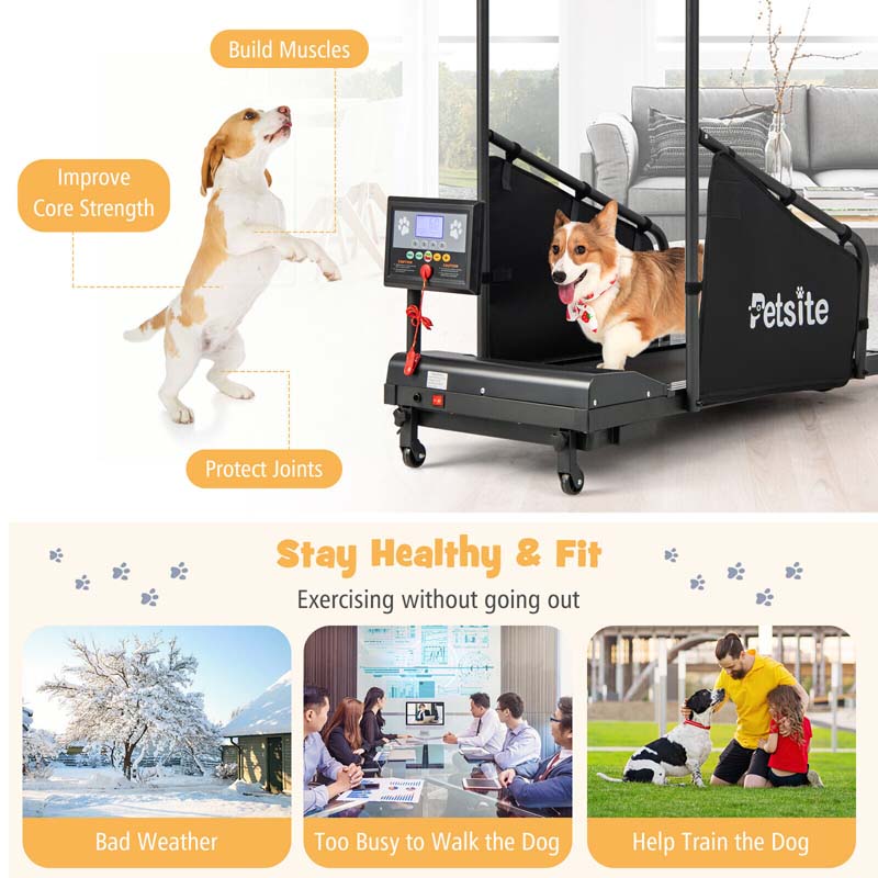 200 Lbs Dog Treadmill Pet Running Machine Indoor Pet Exercise Equipment With Remote Amp 14039039 Lcd Screen 13