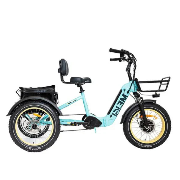 20 48V/14AH 750W Foldable Fat Tire Electric Trike, 330LBS 1