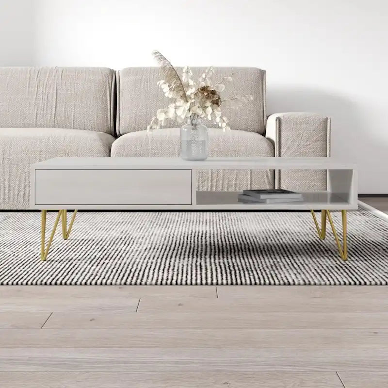 Repo Modern Coffee Table 11