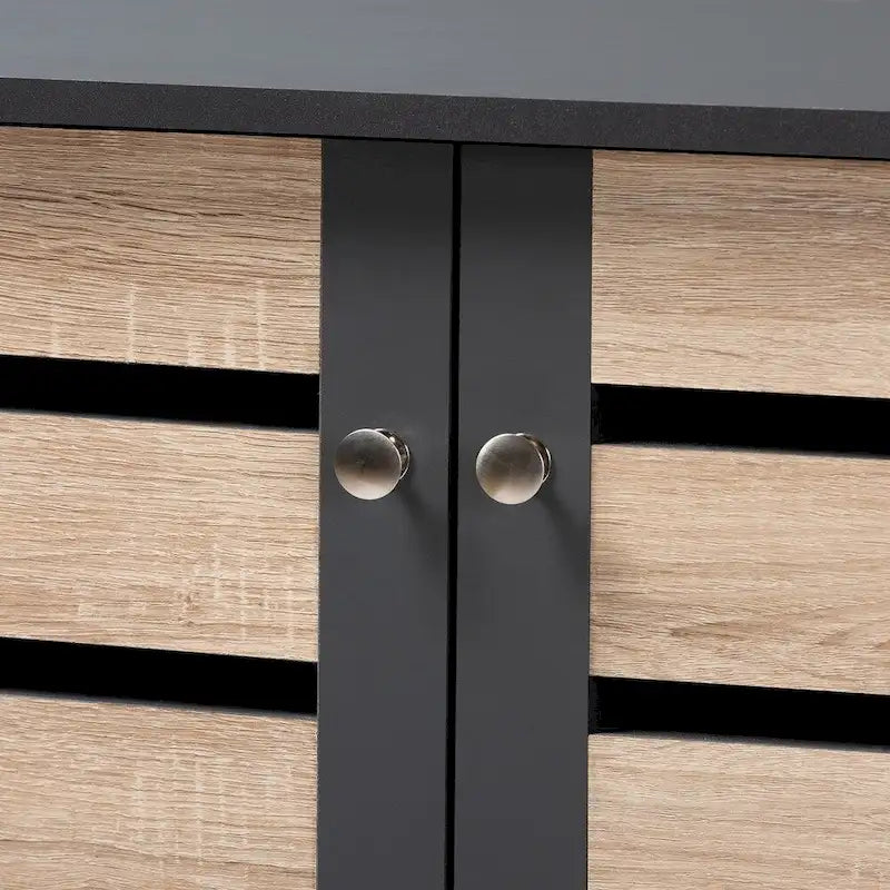 Modern Shoe Organizer Cabinet 1