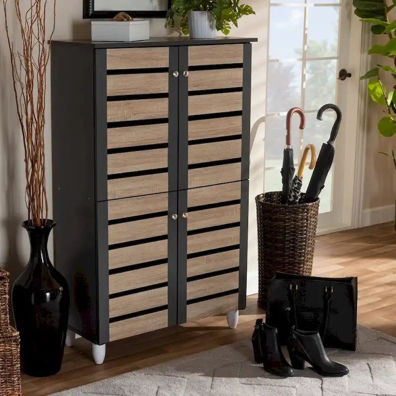Modern Shoe Organizer Cabinet 2