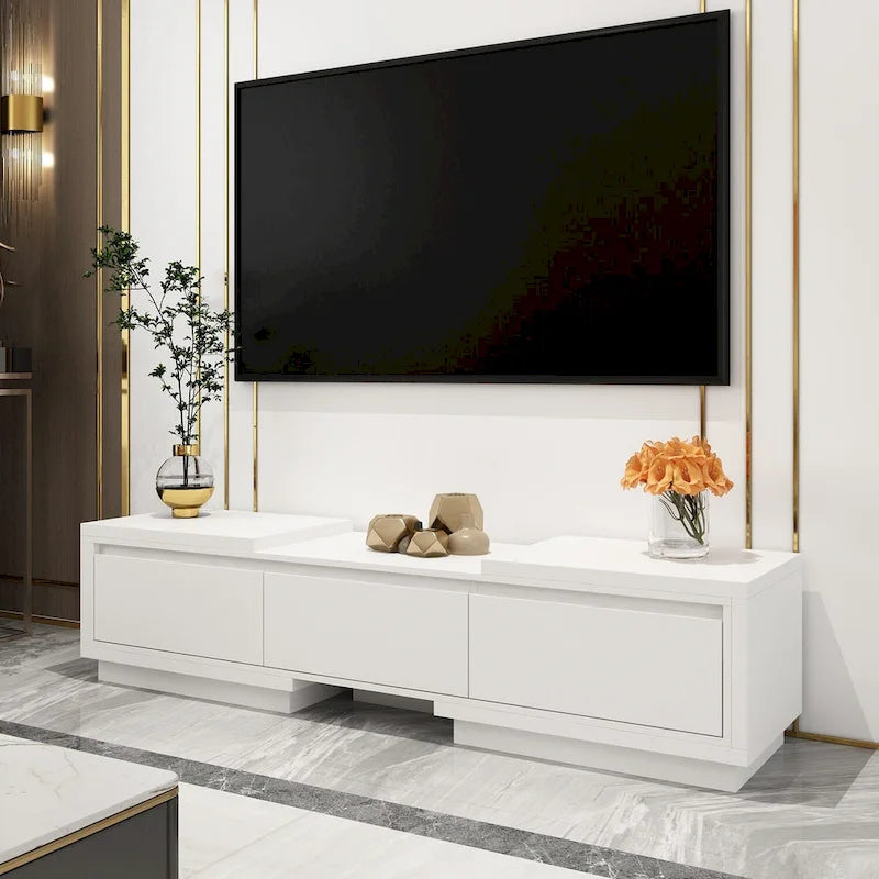 Adjustable Modern Media Console TV Stand with Storage 21