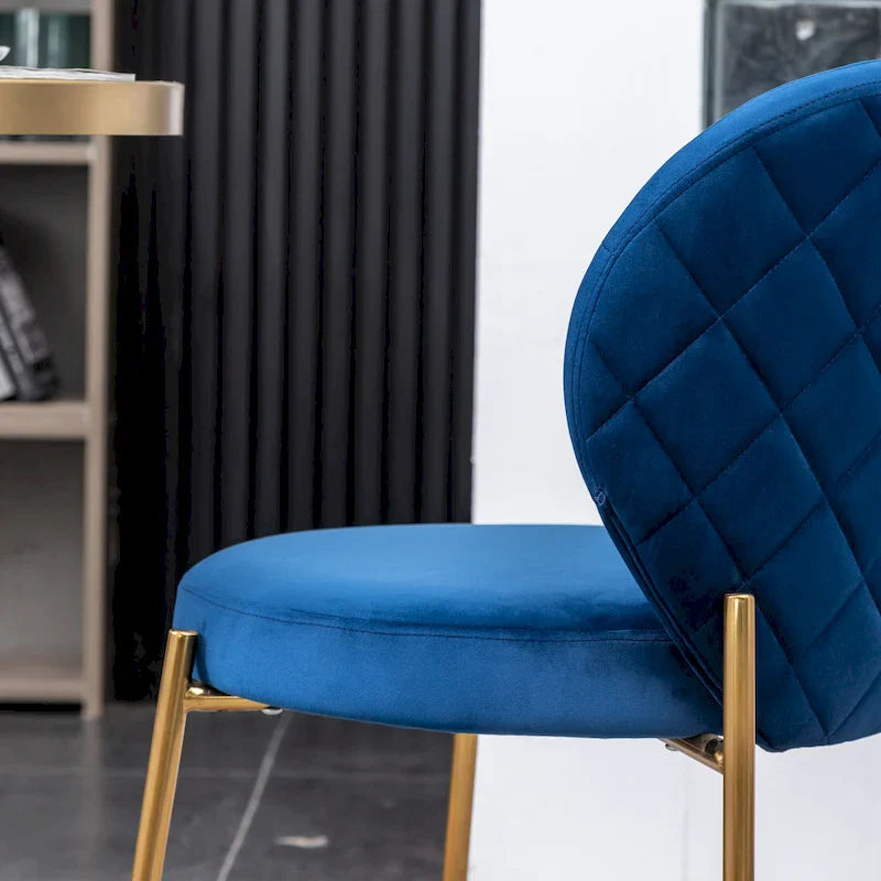 Roundhill Furniture Amoa Modern Velvet Upholstered Dining Chair 12