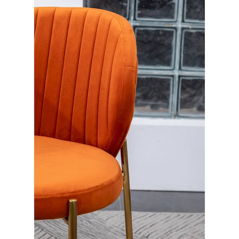 Roundhill Furniture Amoa Modern Velvet Upholstered Dining Chair 24