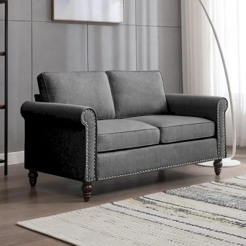 Mixoy Contemporary Loveseat Sofa 1