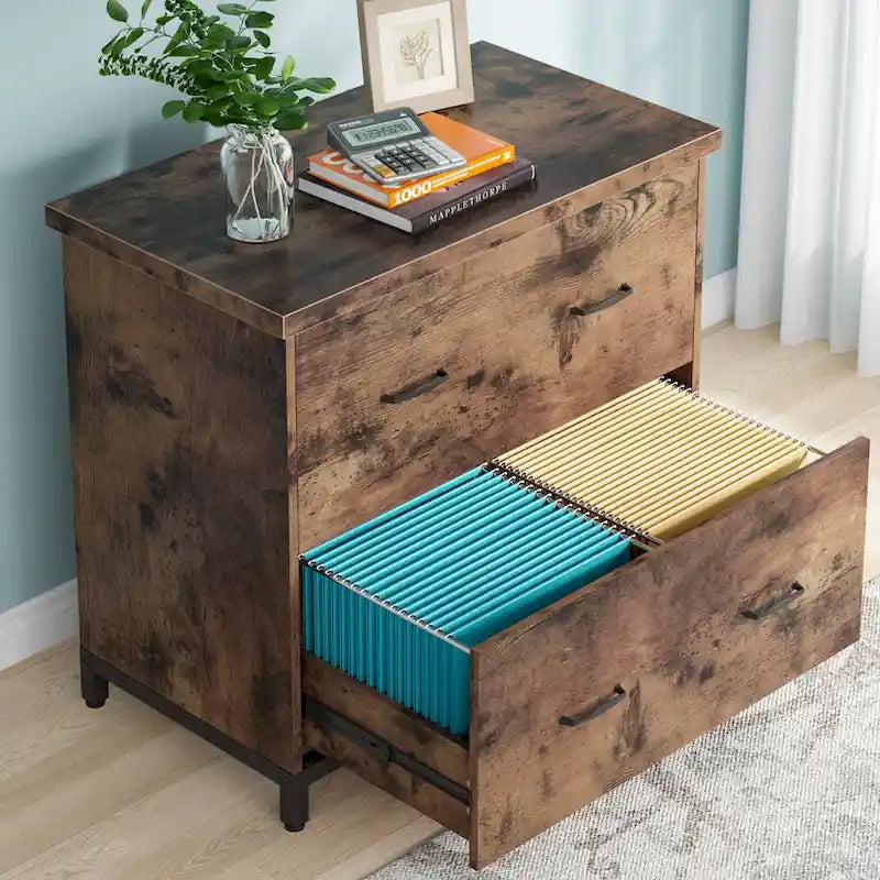 2-Drawer Lateral File Cabinet for Office Organization 2