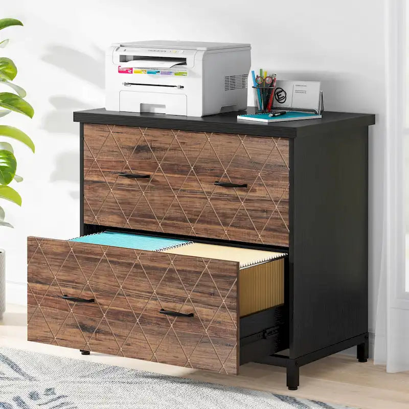 2-Drawer Lateral File Cabinet for Office Organization 11