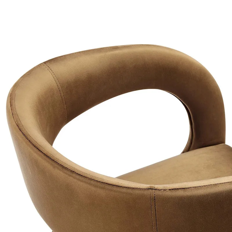 Set of 2 Modern Velvet Dining Chairs Curved Back Upholstered Accent Chairs 6
