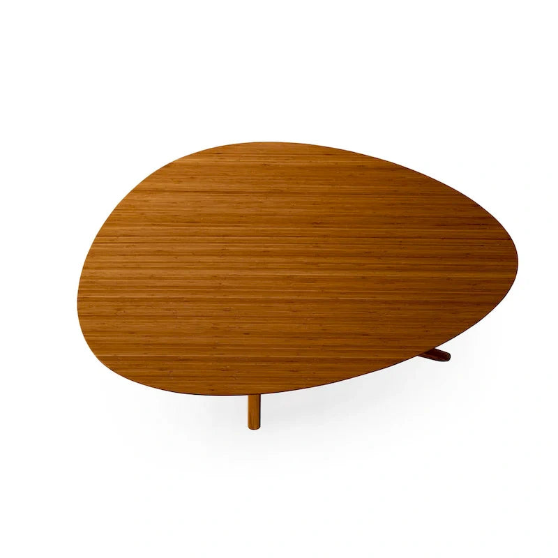 Amber Rosemary Coffee Table 3