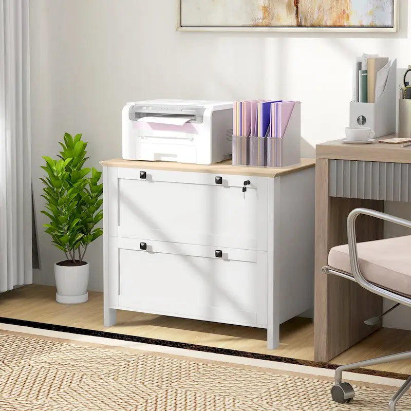HOMCOM 2-Drawer Lateral File Cabinet with Lock and Adjustable Hanging Bar for Letter and A4 Files – Ideal for Home Office 28