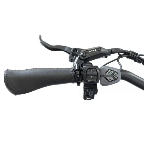 20 48V/14AH 750W Foldable Fat Tire Electric Trike, 330LBS 4