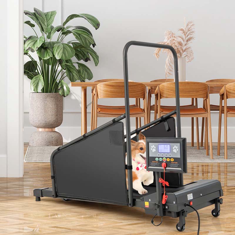 200 Lbs Dog Treadmill Pet Running Machine Indoor Pet Exercise Equipment With Remote Amp 14039039 Lcd Screen 1