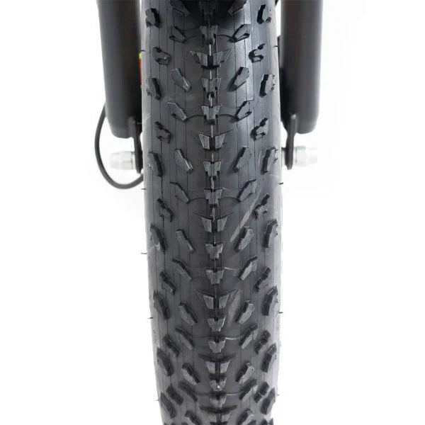 20 48V/14AH 750W Foldable Fat Tire Electric Trike, 330LBS 9