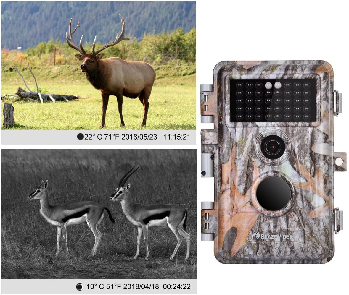 5-Pack Game & Deer Trail Cameras 16MP 1920x1080P Video Hunting Wildlife Cams Time Lapse with Night Vision 5